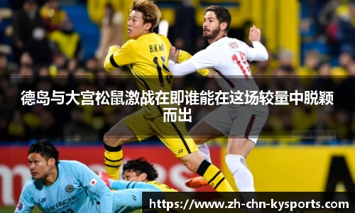 关键词4
